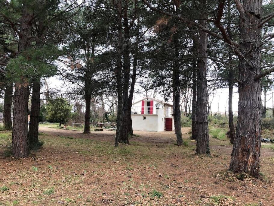 Le Cabanon De Vally Caromb Екстериор снимка